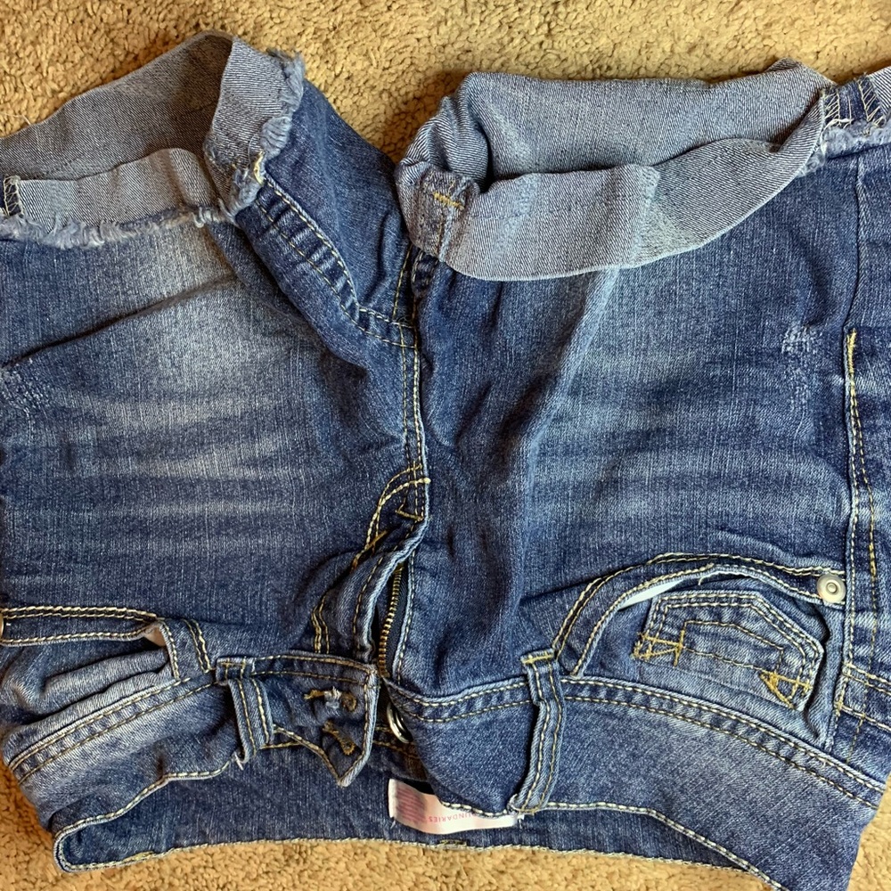 No Boundaries Denim Shorts (SKU 020)